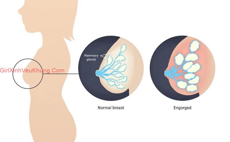 Tư thế cho con bú đúng cách giúp 2 mẹ con thoải mái và bé bú được nhiều sữa hơn 